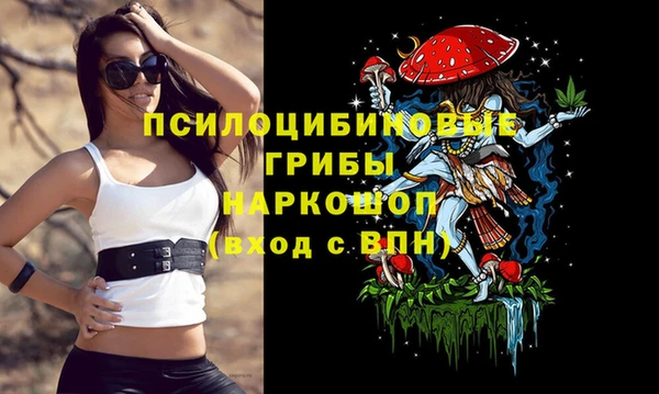 каннабис Алексеевка