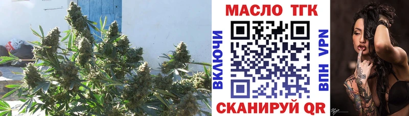 продажа наркотиков  Бронницы  Дистиллят ТГК гашишное масло 